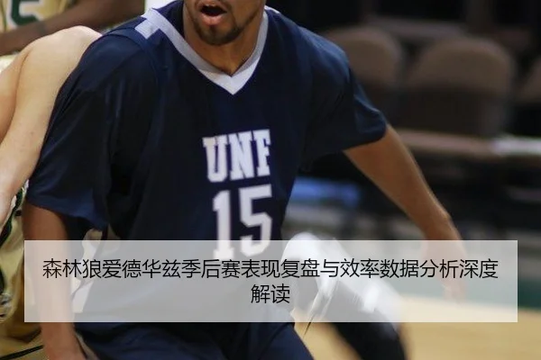 森林狼爱德华兹季后赛表现复盘与效率数据分析深度解读