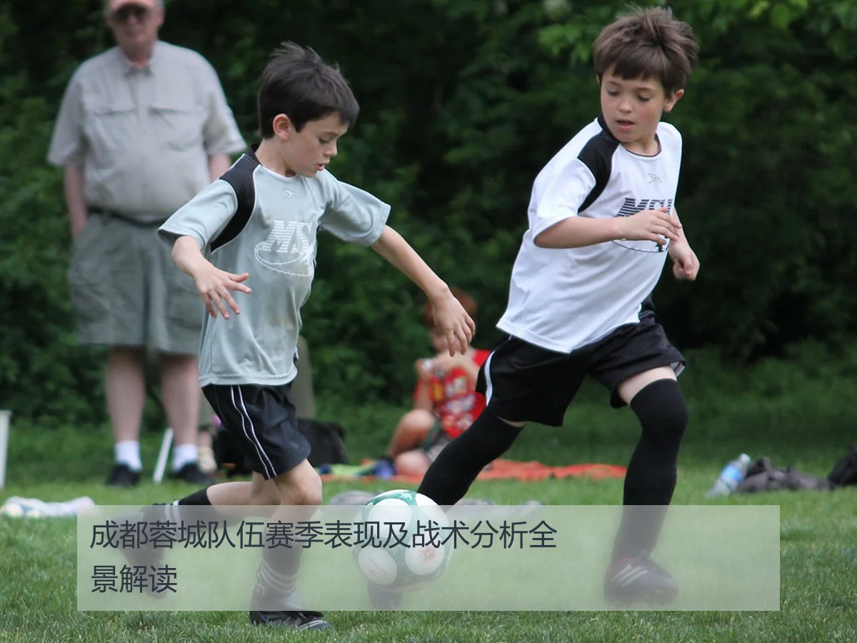成都蓉城队伍赛季表现及战术分析全景解读